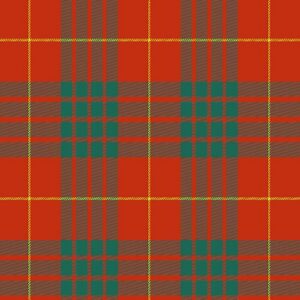 cameron ancient tartan scottish kilt 795193