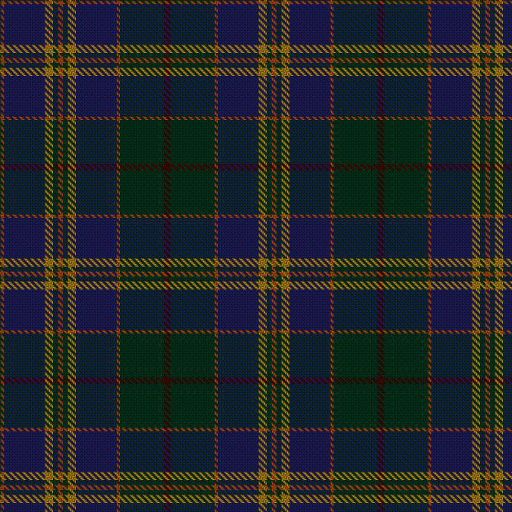 County Kilkenny Tartan Kilt - Image 2