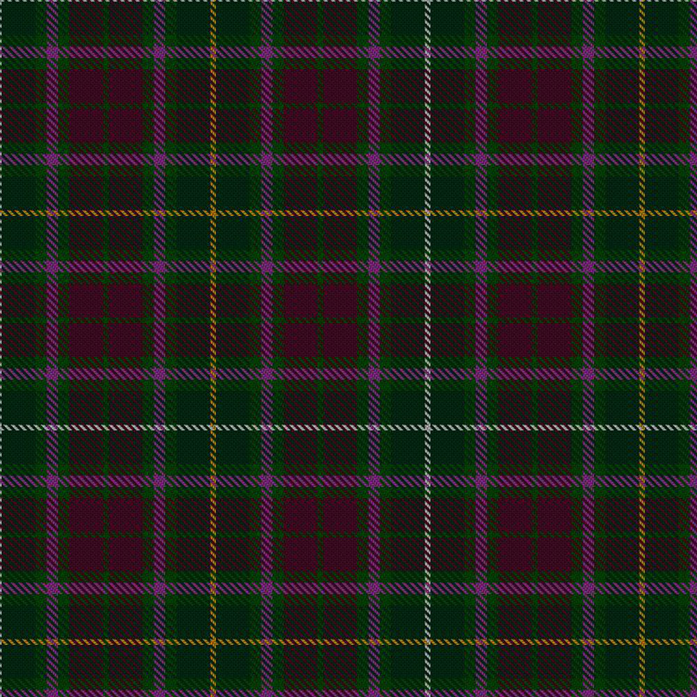 Clan Crosbie Modern Tartan Kilt - Image 2
