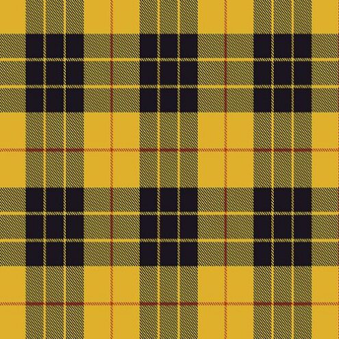macleod of lewis ancient tartan