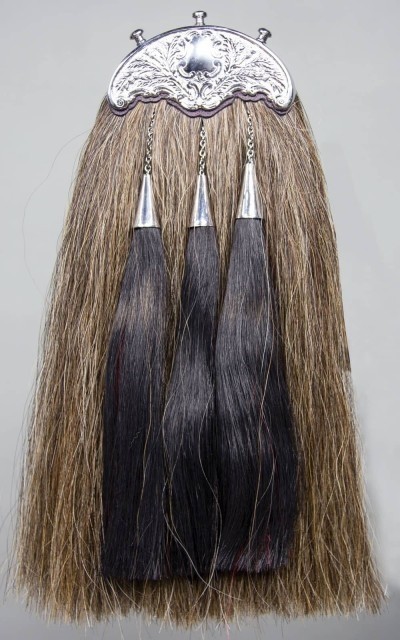 horse hair sporran with gold cantle 2.jpg